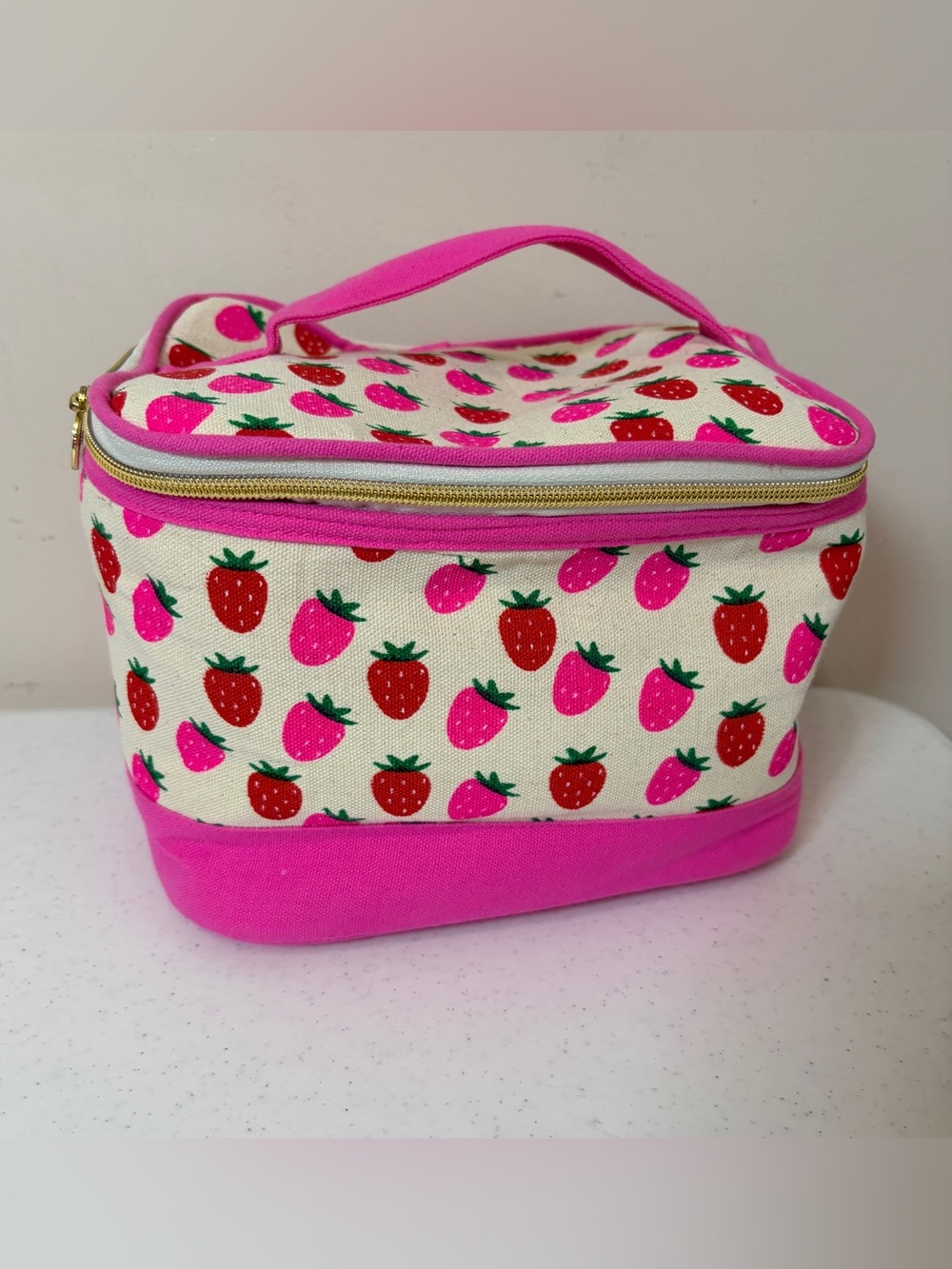 DABNEY LEE Strawberry Print Canvas Train Case Cosmetics Bag